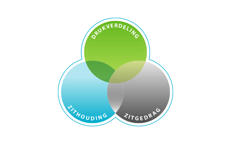 Een afbeelding van het AVeS-model.