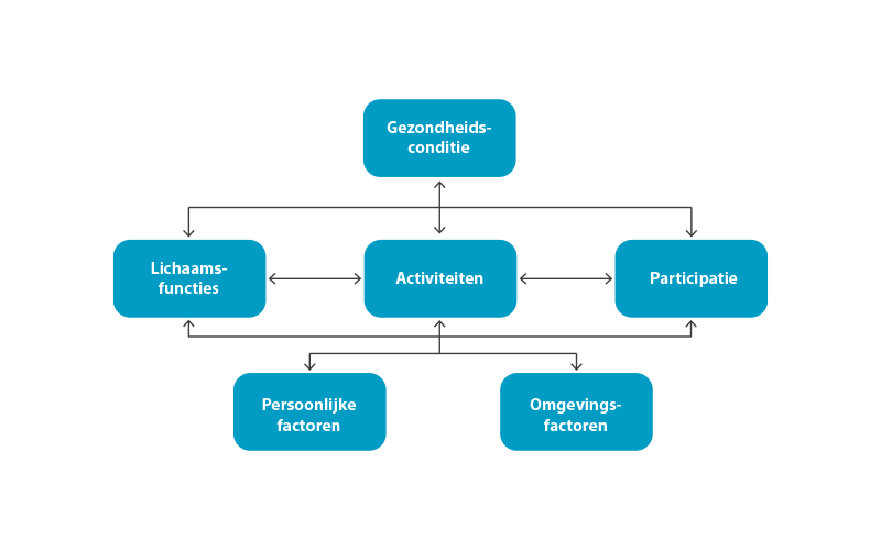 Een afbeelding van het ICF-model.